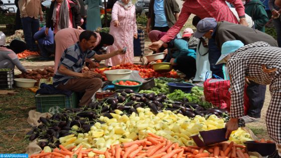 أسعار المواد الغذائية بأهم أسواق جهة طنجة تطوان الحسيمة