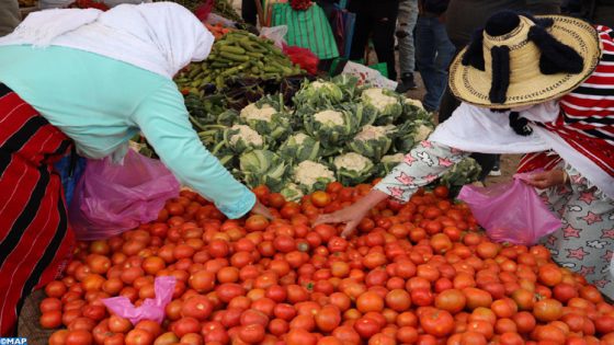 Fahs-Anjra : Une offre abondante et des prix stables sur les marchés